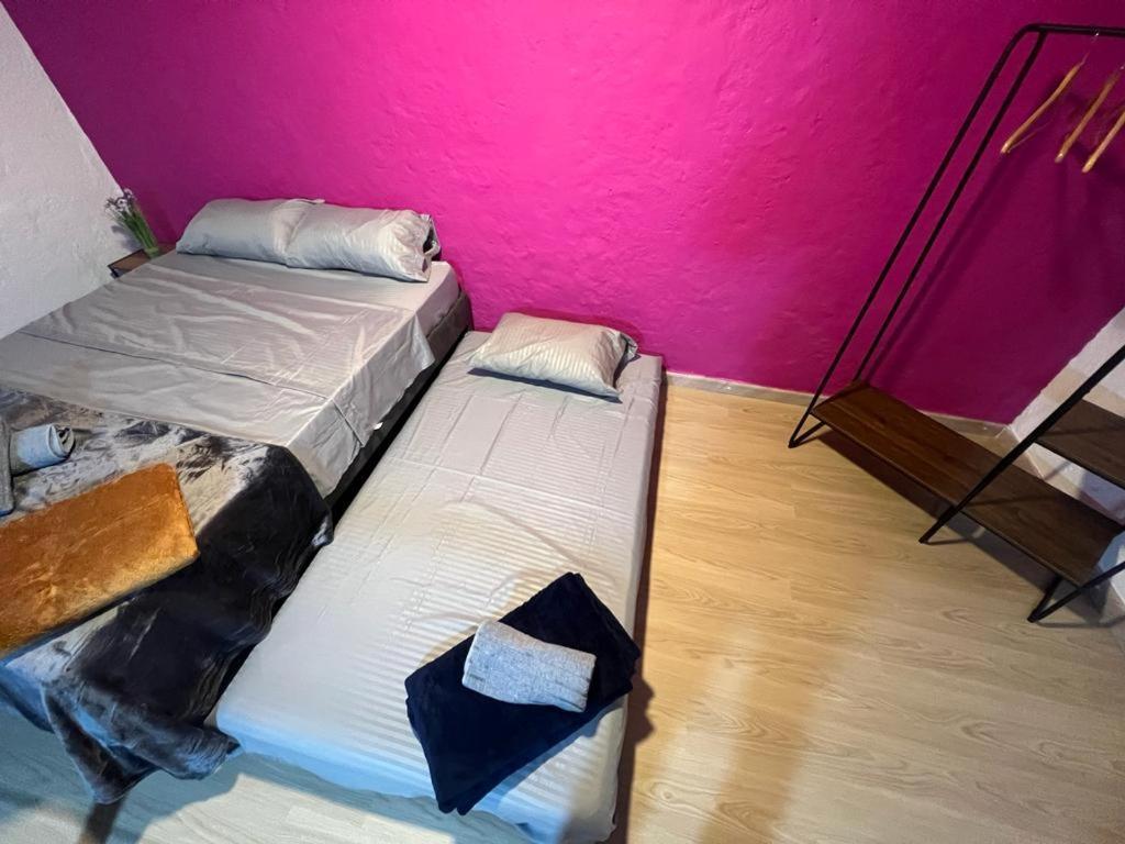 Apartaestudios Las Astromelias סאלנטו מראה חיצוני תמונה